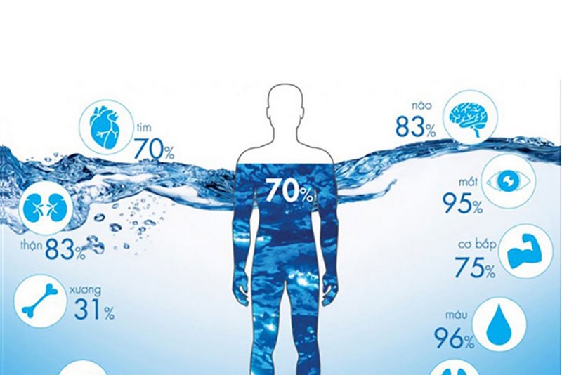 cơ thể con người có 70% là nước